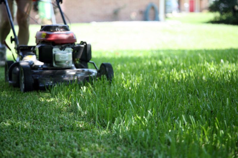 Ranking of the best electric and gasoline lawn mowers in 2019
