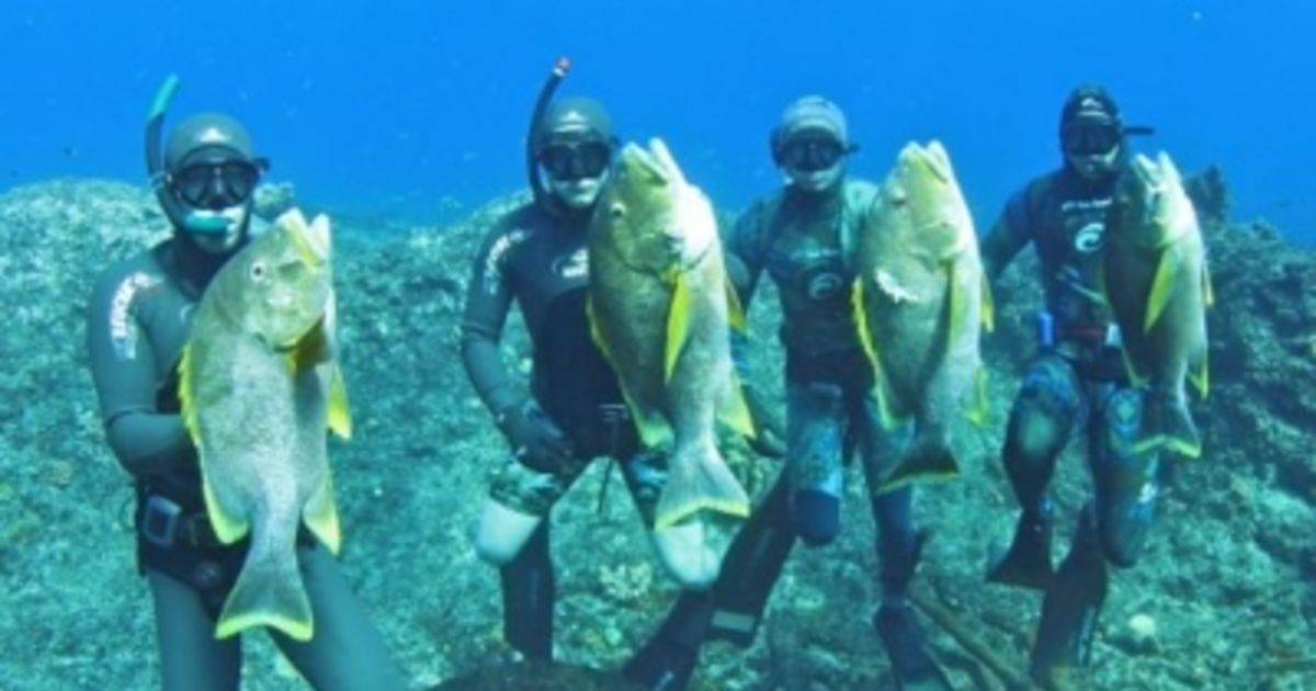 Ranking of the best spearfishing guns in 2020