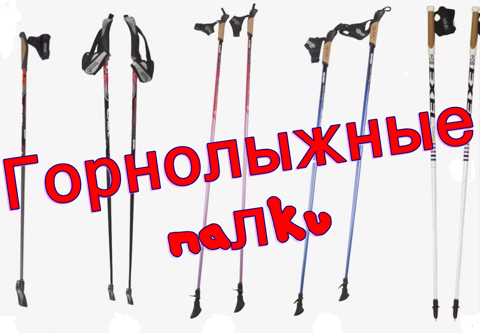 The best ski poles in 2020 and how to choose them