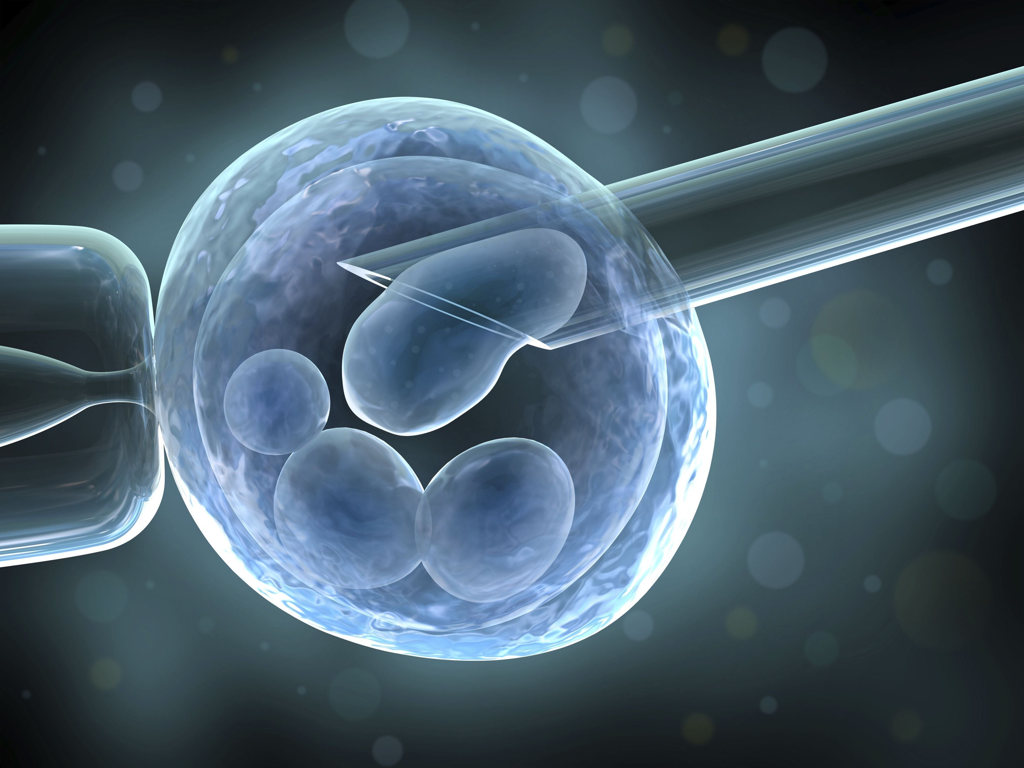 Rating of the best IVF clinics in Novosibirsk in 2020 with positive reviews and results