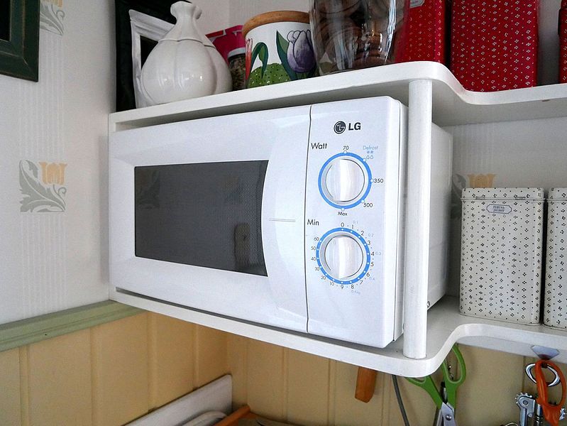 Rating of the best microwave ovens of 2020