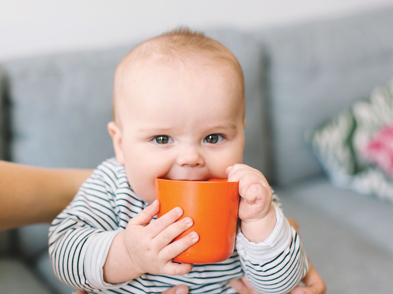 Review of the best sippy cups for babies in 2020 - advantages, disadvantages and price