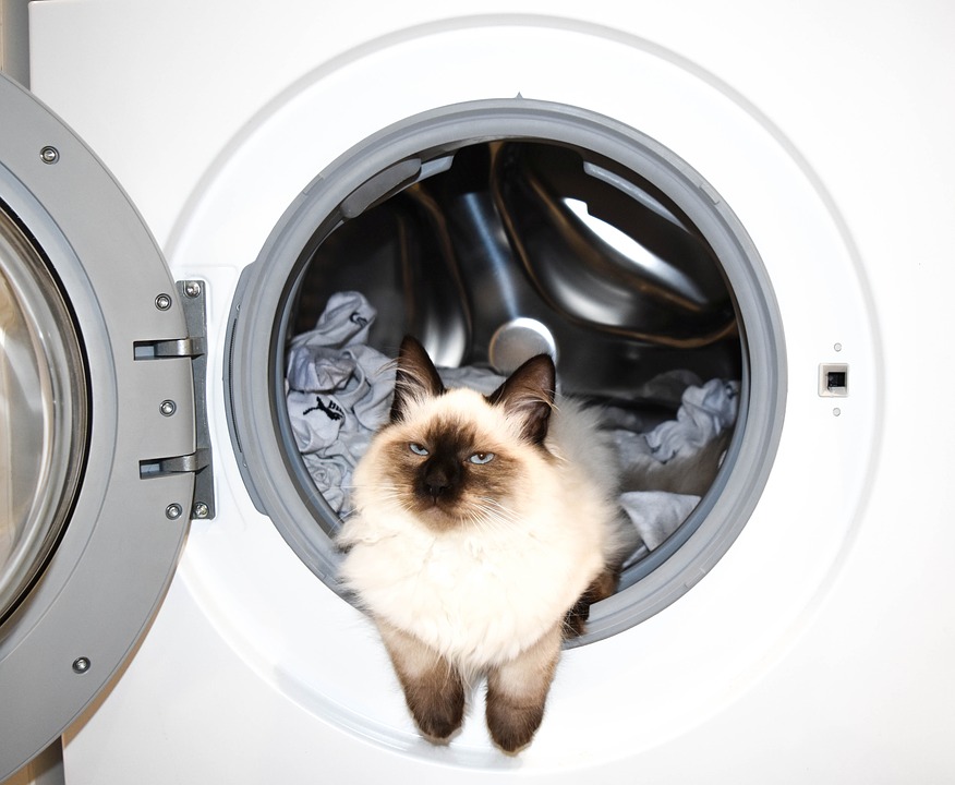 De bästa inbyggda tvättmaskinerna för 2020