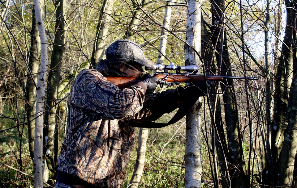 Rating of the best air rifles for hunting without a license for 2020