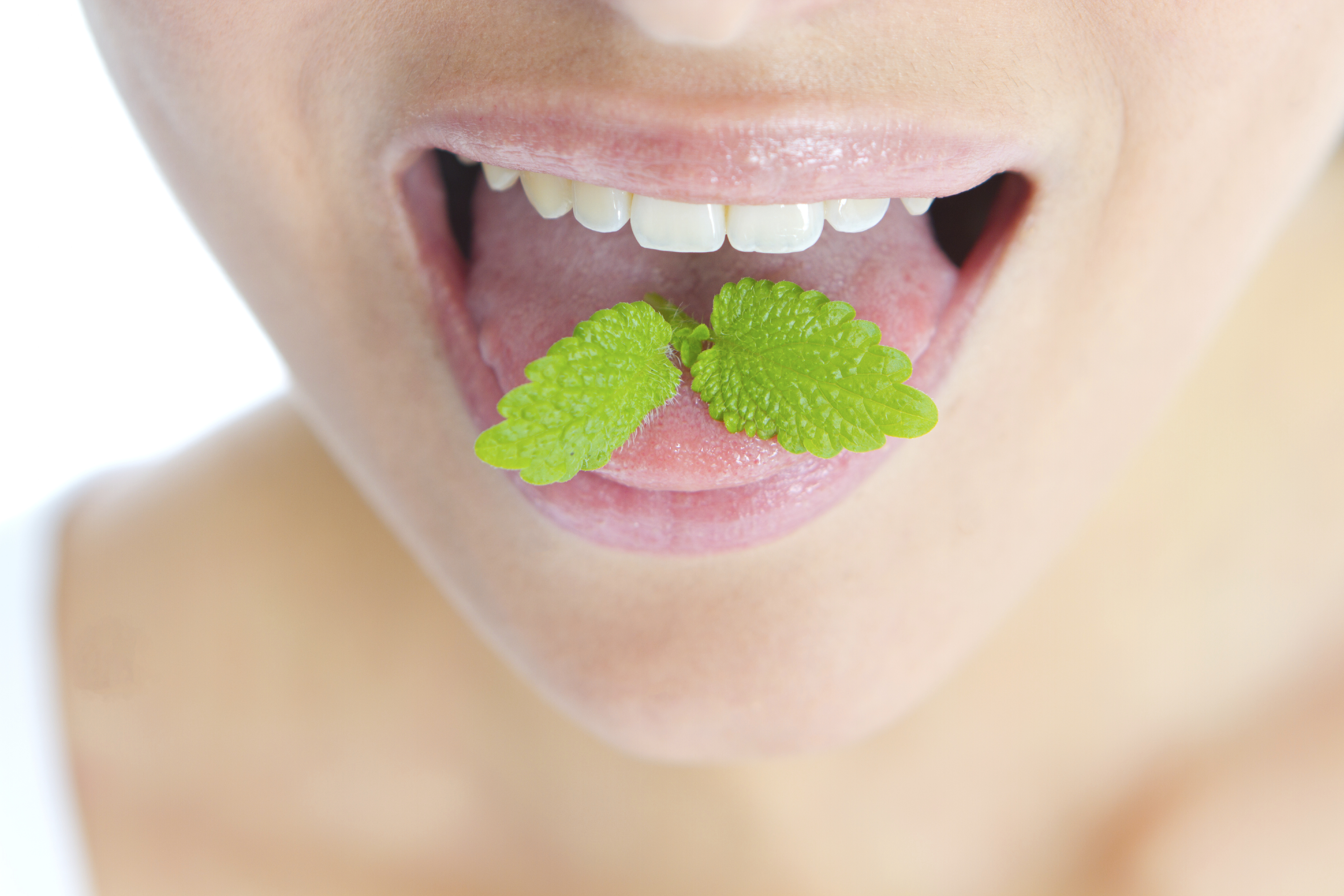 Rating of the best breath fresheners for 2020