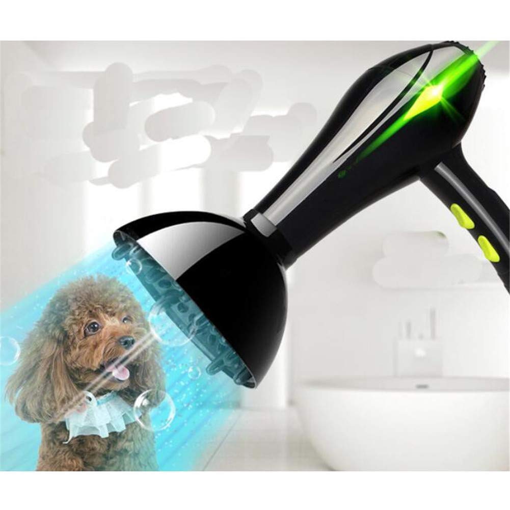 Évaluation des sèche-cheveux-compresseurs pour le séchage des chiens et des chats pour 2020