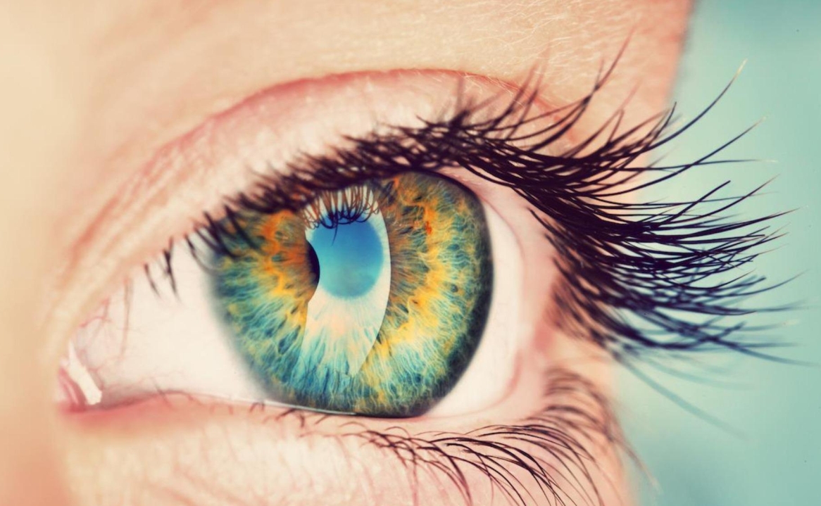 Penilaian penurunan mata terbaik untuk pemakaian lensa untuk tahun 2020