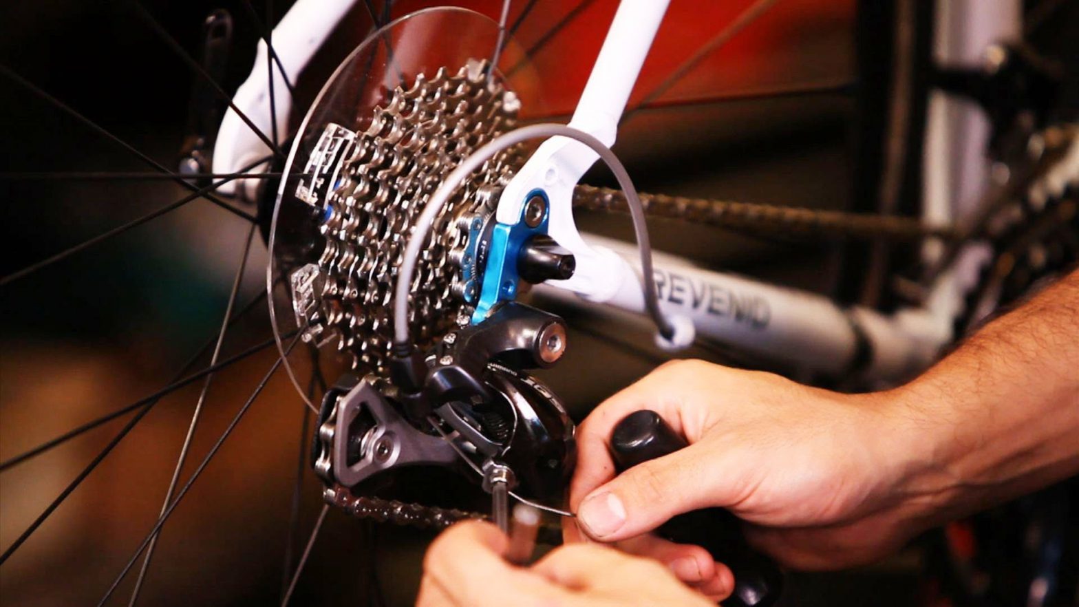 Ranking of the best bike chain scraps for 2020