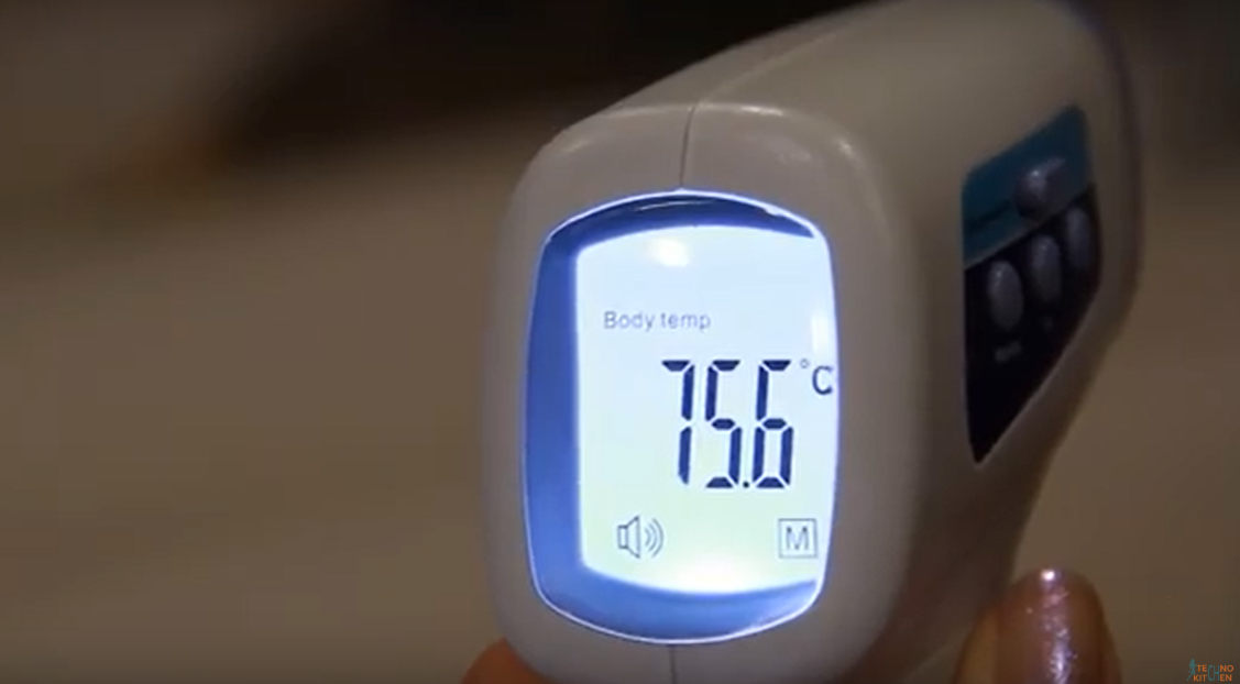Rating of the best infrared thermometers for 2020