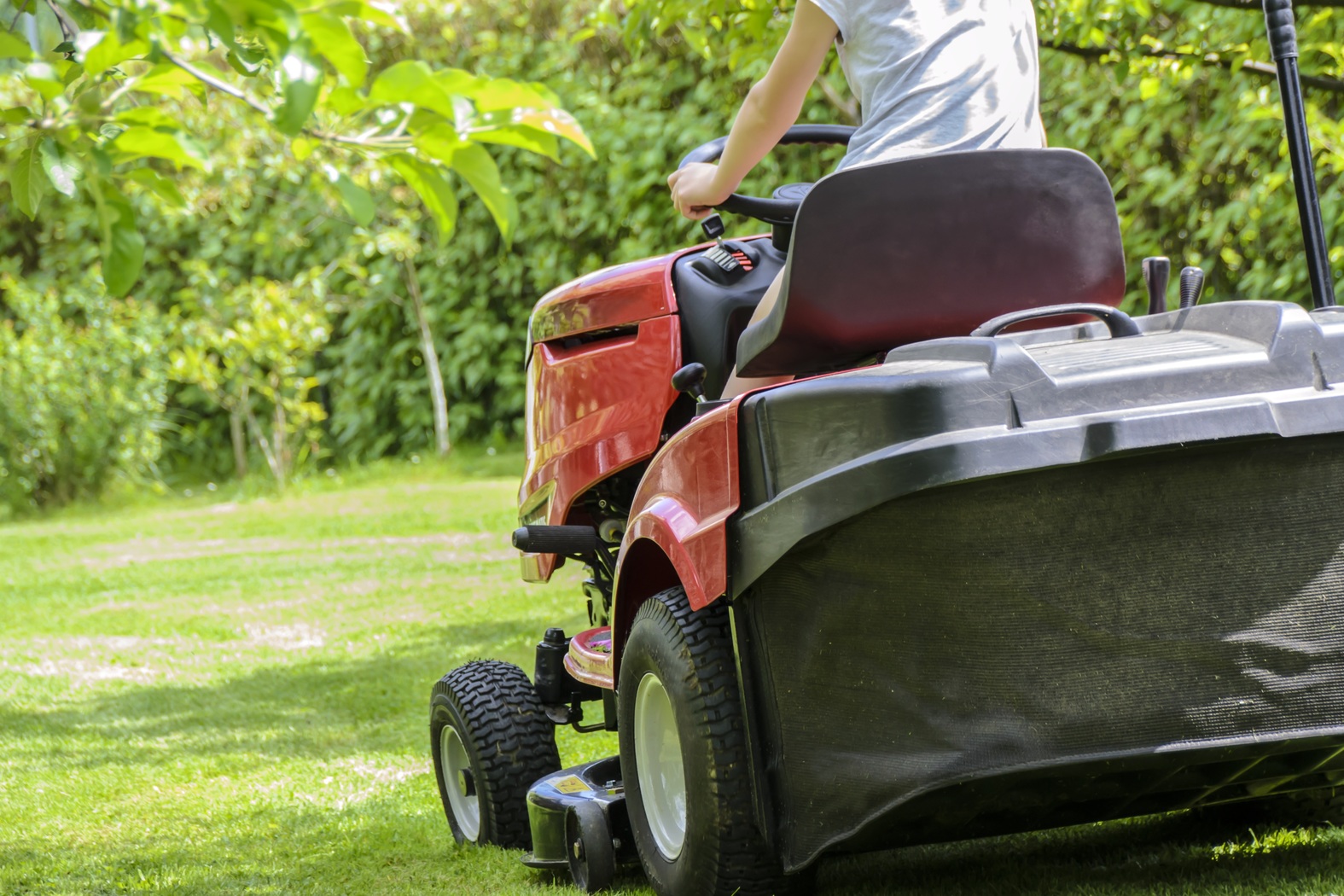 Ranking of the best garden tractors and riders for 2020