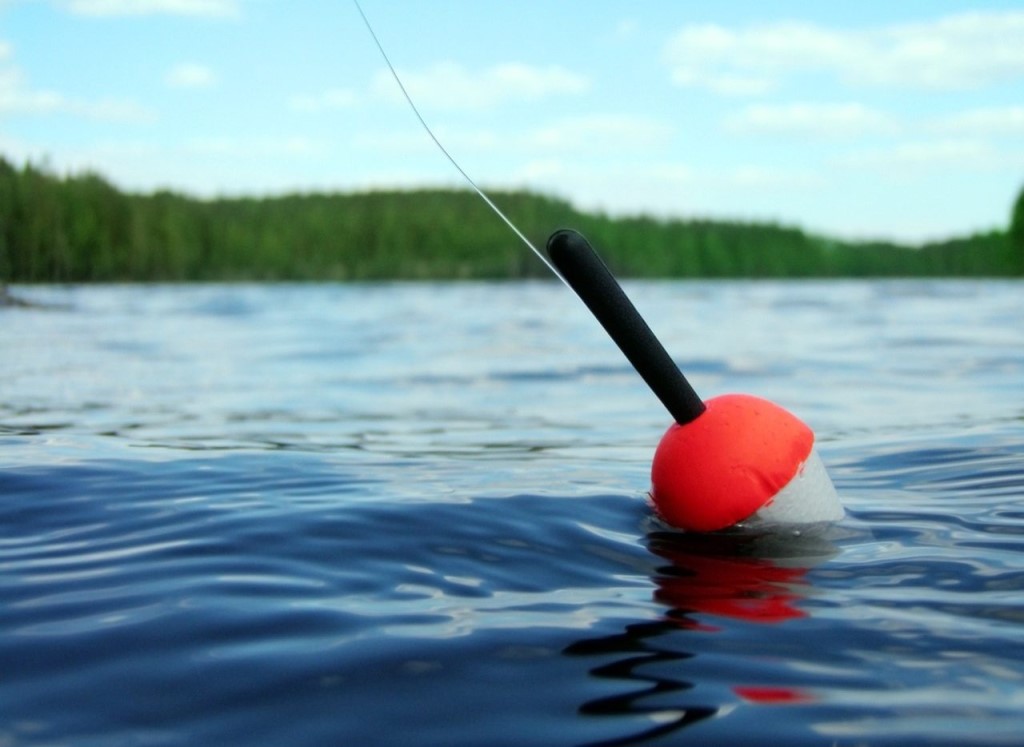 Rating of the best fishing floats for 2020