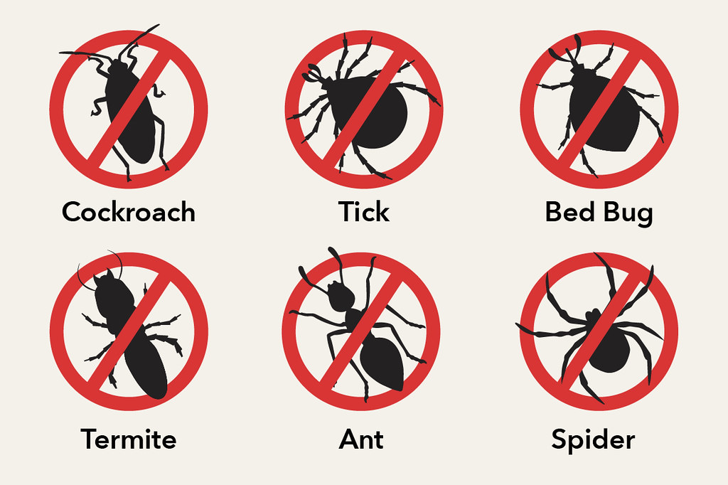 Rating of the best remedies for bedbugs for 2020