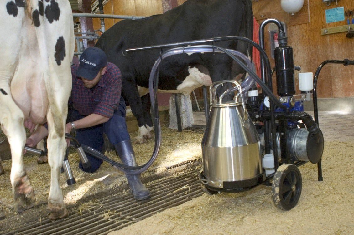 Betyg för de bästa mjölkningsmaskinerna för 2020