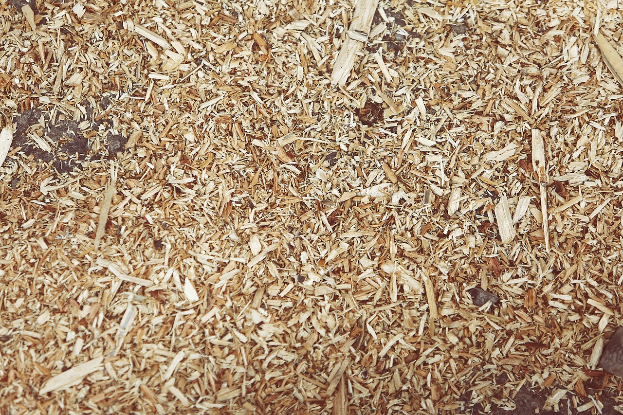 Rating of the best wood chips for 2020