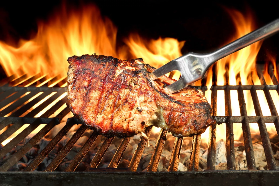 Ranking of the best outdoor barbecues for 2020