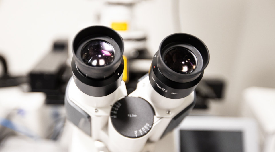 Ocena najlepszych mikroskopów stereoskopowych na rok 2020