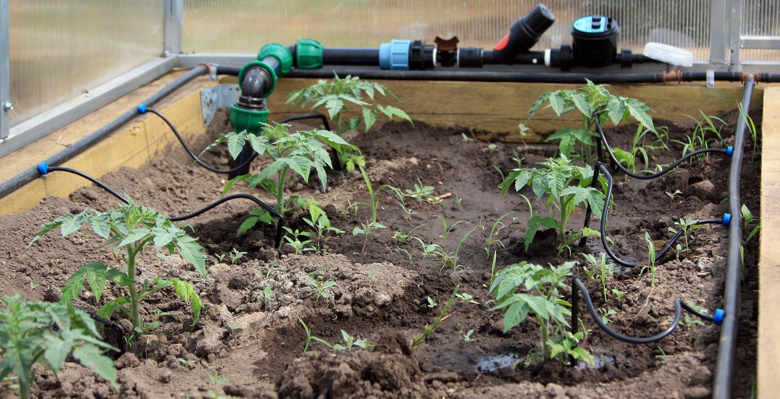 Rating of the best drip irrigation systems for 2020