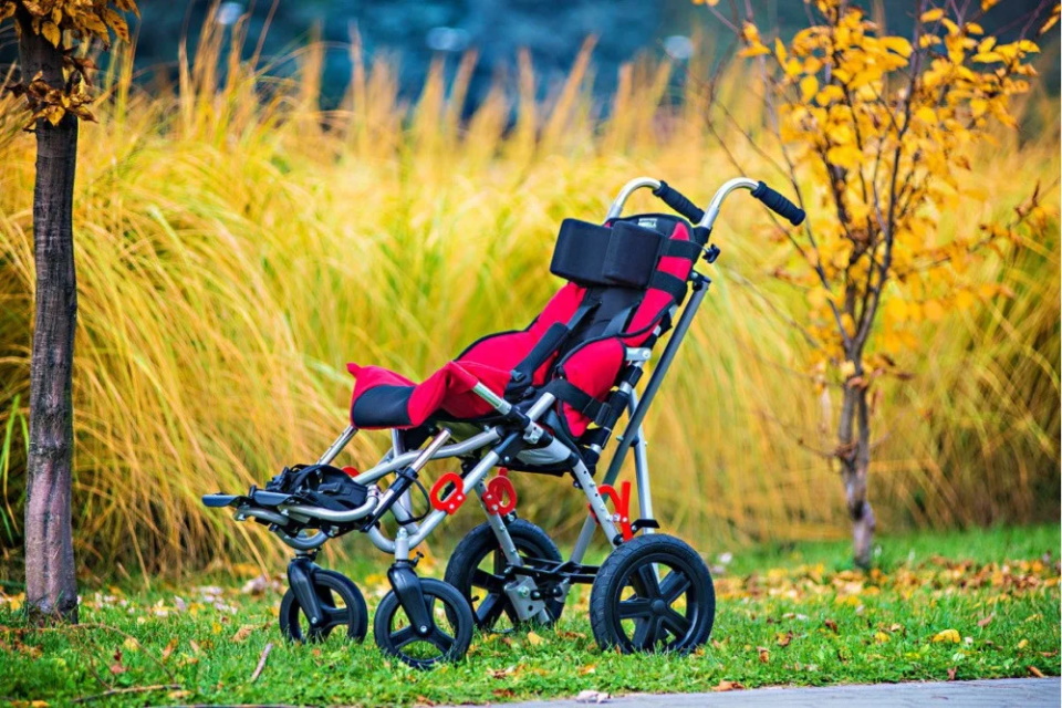 Rating of the best strollers for children with cerebral palsy for 2020